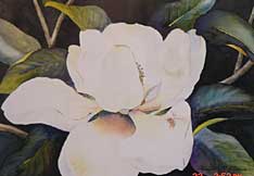 Magnolia I