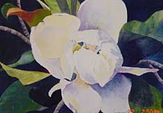 Magnolia III