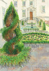 IPC Courtyard Garden III